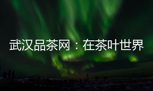 夜夜笙歌：揭秘武汉夜生活论坛背后的文化与社交风貌
